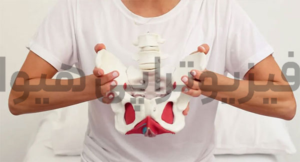 دلایل ضعف عضلات کف لگن