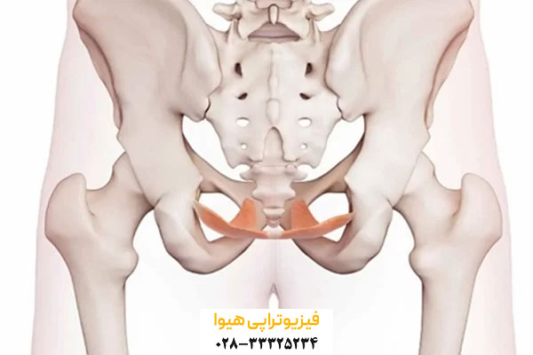 دلایل ضعف عضلات کف لگن